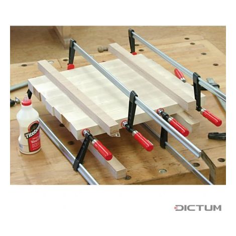 Strettoio Falegname Hobby 80X 250 Doc 02137 (1/5)