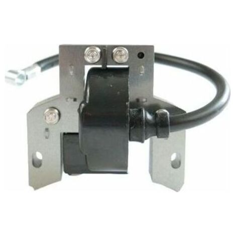 Bobine allumage Briggs et Stratton 591420 (1/4)