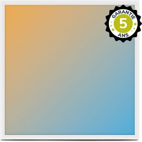 Dalle LED Backlit 595x595 25W Blanc CCT Prismatique - Garantie 5 ans Miidex Lighting® (1/4)