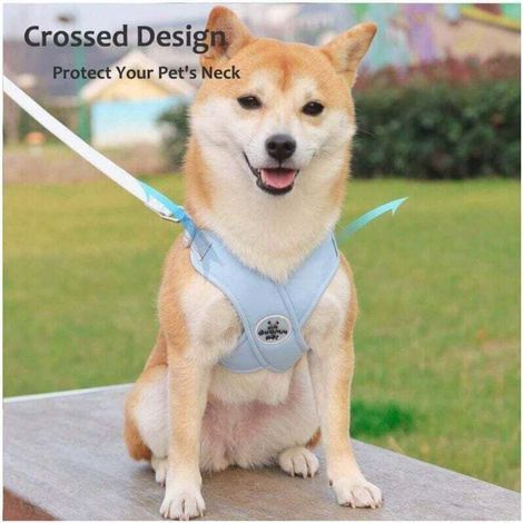 Harnais pour chien de petite et moyenne taille avec laisse, harnais réfléchissant réglable, harnais rembourré anti-fuite pour chiot, adapté à la marche et à la course, 1 paquet (1/4)