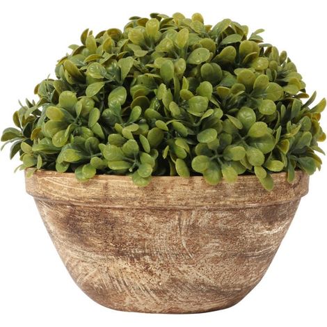 Sfera di bosso III in vaso da 20 cm (1/3)