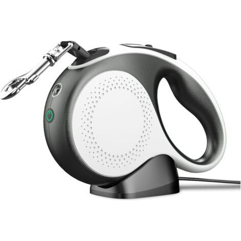 royaluxe -Laisse pour chien rétractable 5m avec lumière LED rechargeable, laisse pour chien rétractable (jusqu'à 30kg), avec verrouillage à bouton unique, sangle en nylon avec coutures réfléchissantes (1/5)