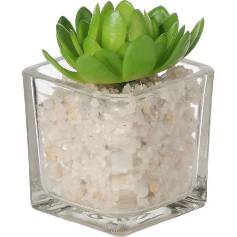 Echeveria artificielle succulente en pot verre et cailloux blanc - couleur: Vert - div: C