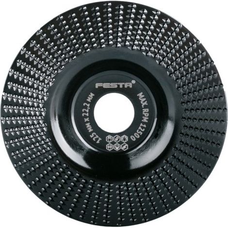 Disque à râper plat fin FESTA 125 x 22,2 mm 21805.01 (1/3)