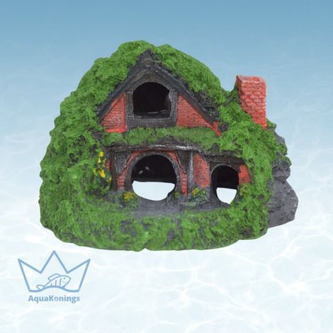 - Décoration d'aquarium - Ornements - Maison envahie par la végétation - 13 x 12 x 9 (1/3)