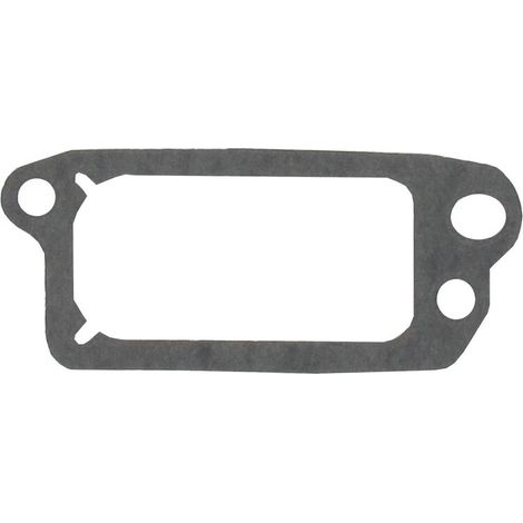 O-ring ventil BRIGGS ET STRATTON 695890