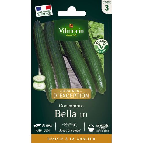 Concombre Bella F1 – Graines de potager parthénocarpique – Haute productivité même par forte chaleur – Résistant aux maladies – Vilmorin