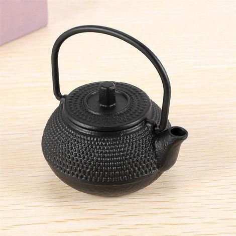 Théière japonaise en fonte de 50 ml avec passoire intégrée. (1/5)