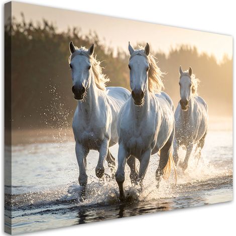 Image sur Toile, Chevaux blancs galopant dans l'eau,30x20 (1/4)