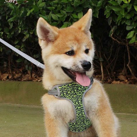 Harnais, gilet et laisse pour chien, résistant aux explosions, réfléchissant, respirant, collier de poitrine pour chiots, chats et chiens de petite, moyenne et grande taille - Noir (1/4)
