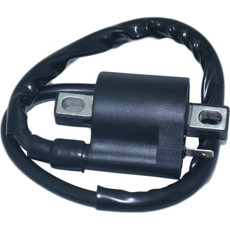 Motorcycle modification parts for Honda CG110, CG125, and JX110 ignition coil high voltage coils (1/5)