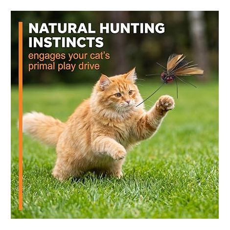 Cat Toy Refills - Insects and Feathers Replacement for Cat Duster - Interactive Anti Boredom Toy with Bell - Butterfly, Bee, Beetle, Fishing Rod Accessory (1/3)