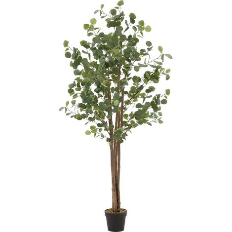 ML-Design Eucalipto Artificiale 180 cm – Grande Pianta Finta con Tronco in Legno Naturale Albero Decorativo in Vaso per Interni ed Esterni Realistico per Casa Ufficio Soggiorno (1/5)
