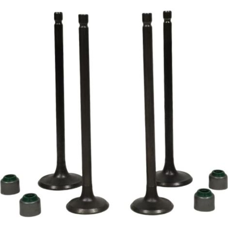 Joints de queue de soupape pour moteur de moto adaptés aux modèles BAJAJ PULSAR NS160 et NS150, joints de queue de soupape pour prévenir les fuites d'huile. (1/3)