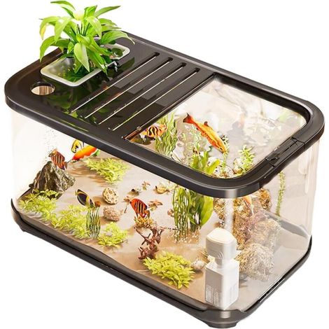 Betta Kit de bassin à poissons ventilé, avec marches (1/5)