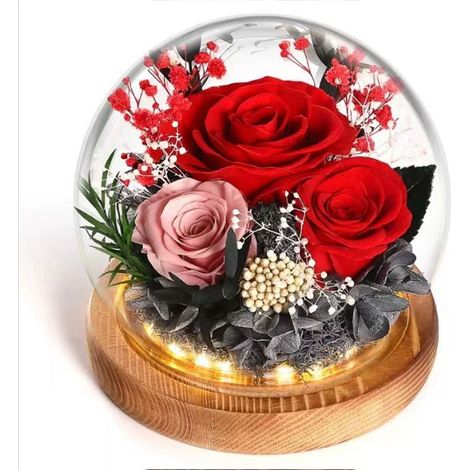 Caja de regalo con flores preservadas: cúpula esférica de cristal con tira de LED integrada un regalo práctico para cumpleaños y San Valentín. Modelo 6