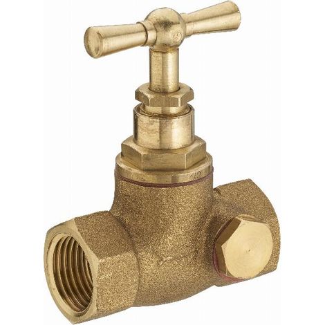 Robinet d'arrêt double femelle à purge NOYON & THIEBAULT F15x21 (1/2)