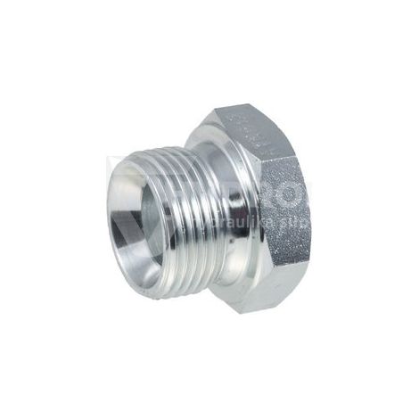 Tapón BSP (AGR) de 1 1/4" con llave de vaso (1/3)