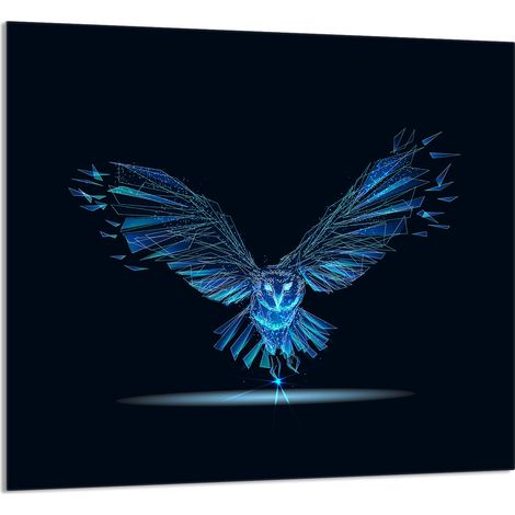 PANEL DE VIDRIO PARA COCINA 65x60 Pájaro (1/5)