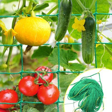 Treillis 2x3m avec Une Grande Maille, Filet à concombres, Treillis pour concombres - Treillis pour Plantes grimpantes (1/5)