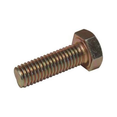 10,0 x VITE COPPIA CONICA DECESPUGLIATORE