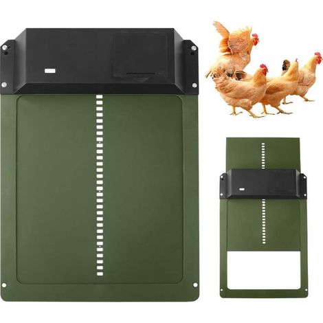Porta automatica per pollaio ad energia solare, con sensore di luce, in alluminio e plastica, IP44, per allevamento avicolo (1/5)