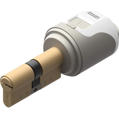 Serrure électronique intelligente avec cylindre 35 x 35 mmREMOCK (1/4)