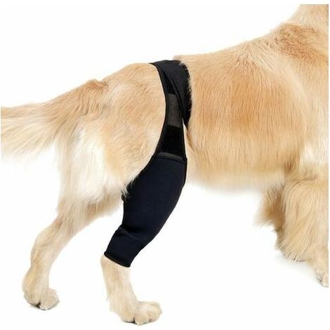 Front Back Leg Support Splint for Sprain Recovery Dog Relieves Pain, XS - GHOST