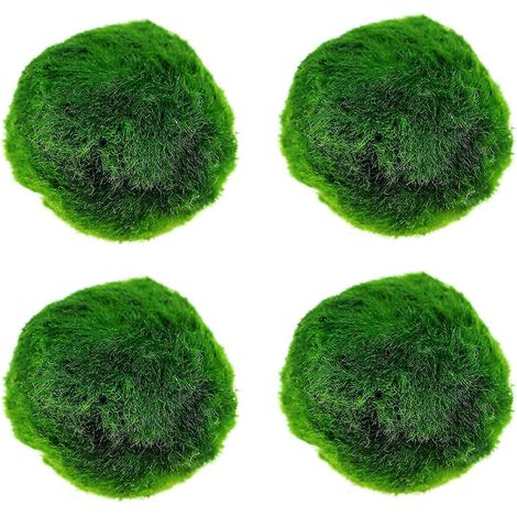 4pcs Aquarium Boules de mousse, plantes d'aquarium vivantes Boule décorative de mousse verte, boule d'algues vertes pour les décorations d'aquarium (1/3)