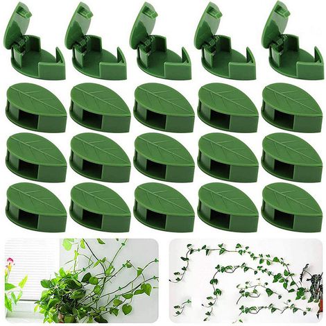 30 Pcs Clips de Fixation pour Plantes Grimpantes Autocollants Invisibles Support de Vigne Murale Accrochez Végétaux Facilement (1/5)