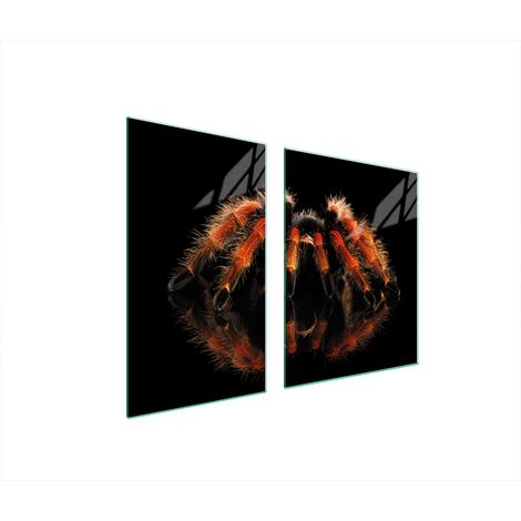 Glasplatte und Schneidebrett 100x52 Spider