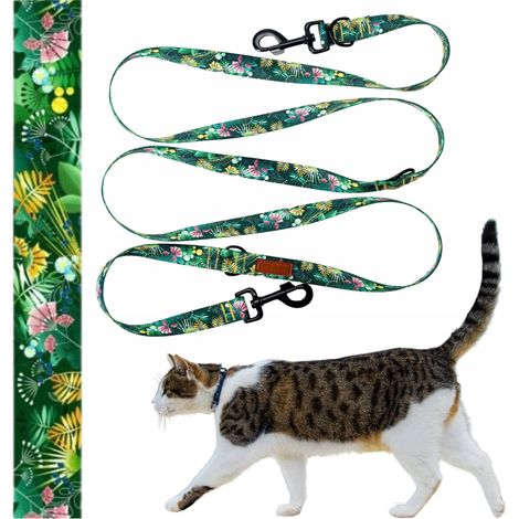Laisse réglable pour petit chat, 240 cm, Ukory, VERTE (1/5)