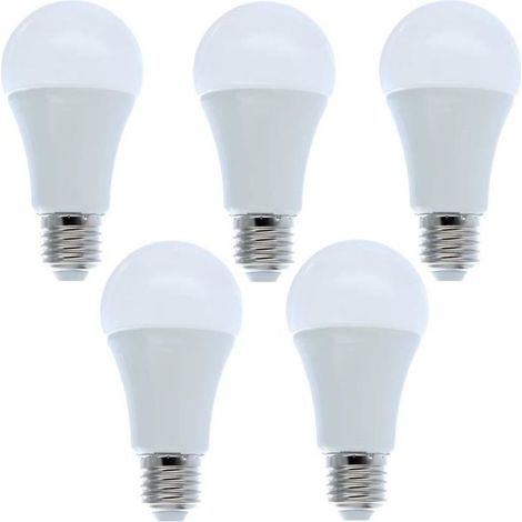 Lot de 5 Ampoules LED E27 12W Blanc Froid - Marque - Modèle - Puissance équivalente 100W - Classe énergétique A+