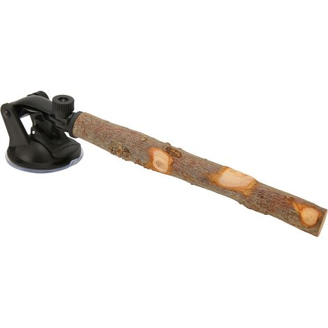 Perchoir en bois antidérapant pour perroquet, support interactif à ventouses pour fenêtre, pour petits et moyens oiseaux, 20 cm / 7,9 pouces (1/5)
