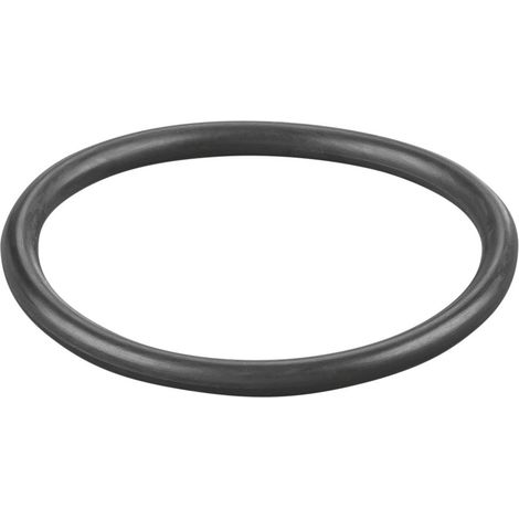Rems O-Ring 060018
