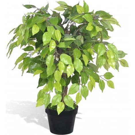 Ficus artificiel réaliste 60 cm, 420 feuilles, véritable tronc en bois, avec pot, plante décorative sans entretien (1/5)