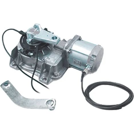 CAME FROG 001FROG-A24 FROG-A24 Motoriduttore Motore Per Cancelli a Battente 24v Interrato (1/3)