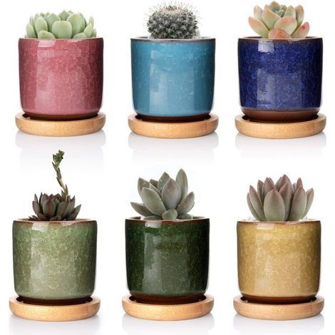 6cm Vasi da Piante in Ceramica Zisha con Vassoio in Bambù - Confezione da 6, Vaso per Succulente Cactus Fiori Contenitore Fioriera (1/5)