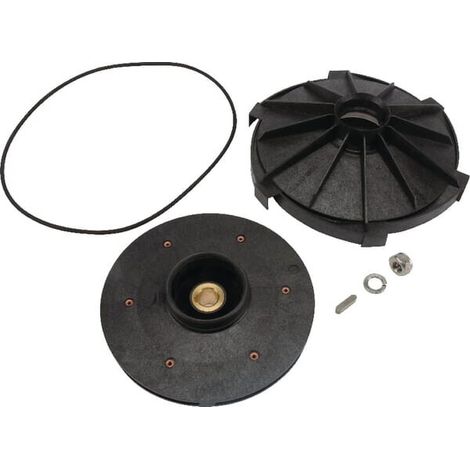 Ventil. e diffus. Jet 200 M S DAB PUMPS R00005207 (1/2)