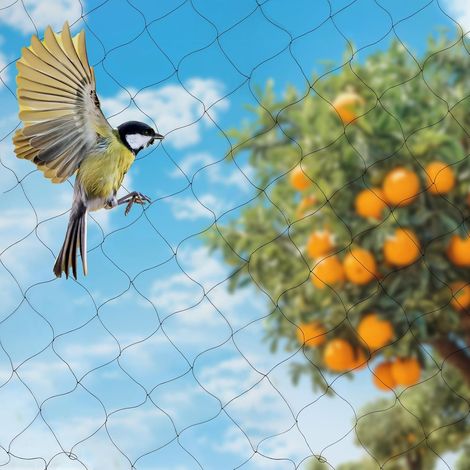 Filet de protection contre les oiseaux - 30 m x 15 m - Noir - Résistant à la déchirure pour poulailler - Filet de volière pour protéger les arbres fruitiers et les légumes contre la nourriture des (1/5)