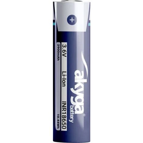 Akyga Pile rechargeable spéciale Li-Ion 3.6 V 2900 mAh 1 pc(s) (1/2)