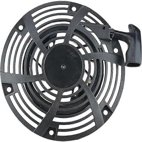 Plaque de démarrage pour Briggs & Stratton 111P02 111P05 111P07 796497 (1/5)