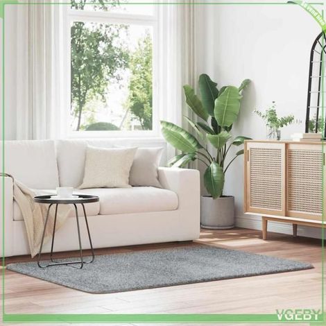 4102826 Tapis shaggy à poils longs NAVARRA gris clair 120x170 cm (1/5)