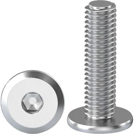 10 Pièces Vis à Tête Plate Avec Six Pans Creux M8 X 25 mm Boulons à Tête Plate Hexagonale en Acier Inoxydable A2 V2A Vis à Tête Cylindrique Hexagonale à Bride Boulons Allen