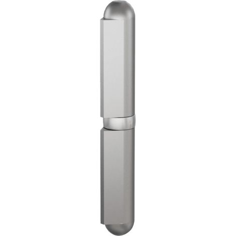 Paumelle série forte 155,5x25mm - PINET - 1473611