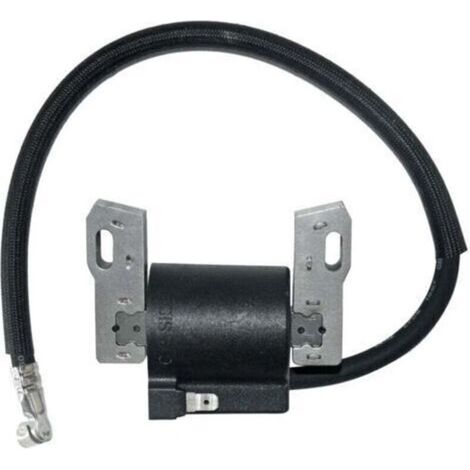 Bobine d'allumage pour Briggs Stratton 591420 398593 496914 793281 792395 -..