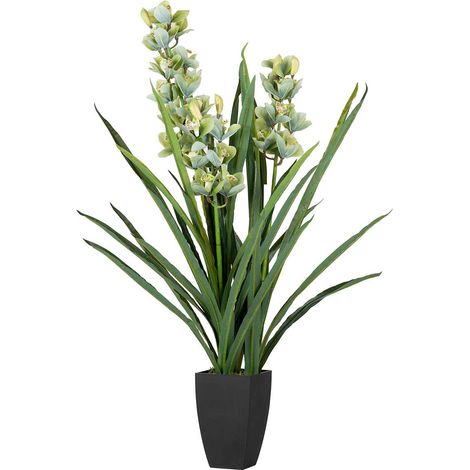 Cymbidium Orchideenpflanze 70X70X110 Cm (1/5)