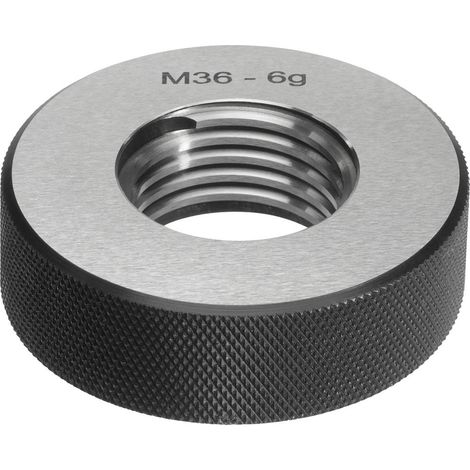 Fortis Gut-Gew.-Lehrring M16 6g (1/4)
