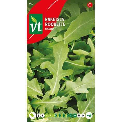 Roquette Pronto - Ca. 2 gr (Livraison Gratuite) (1/2)