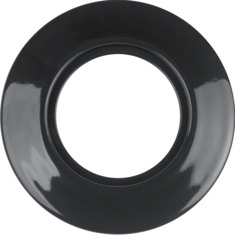Hager 138165 interruttore de light Porcelain Black